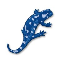 Paul Ingraham (PainScience.com) (@painsci) 's Twitter Profile