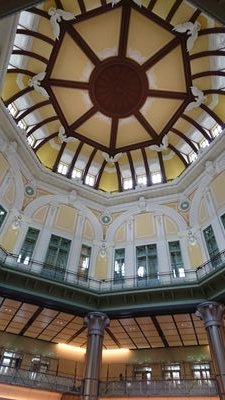 hitomi20050405's profile picture. 気まぐれに呟いてます。苦手な食べ物はバナナとフォアグラ。