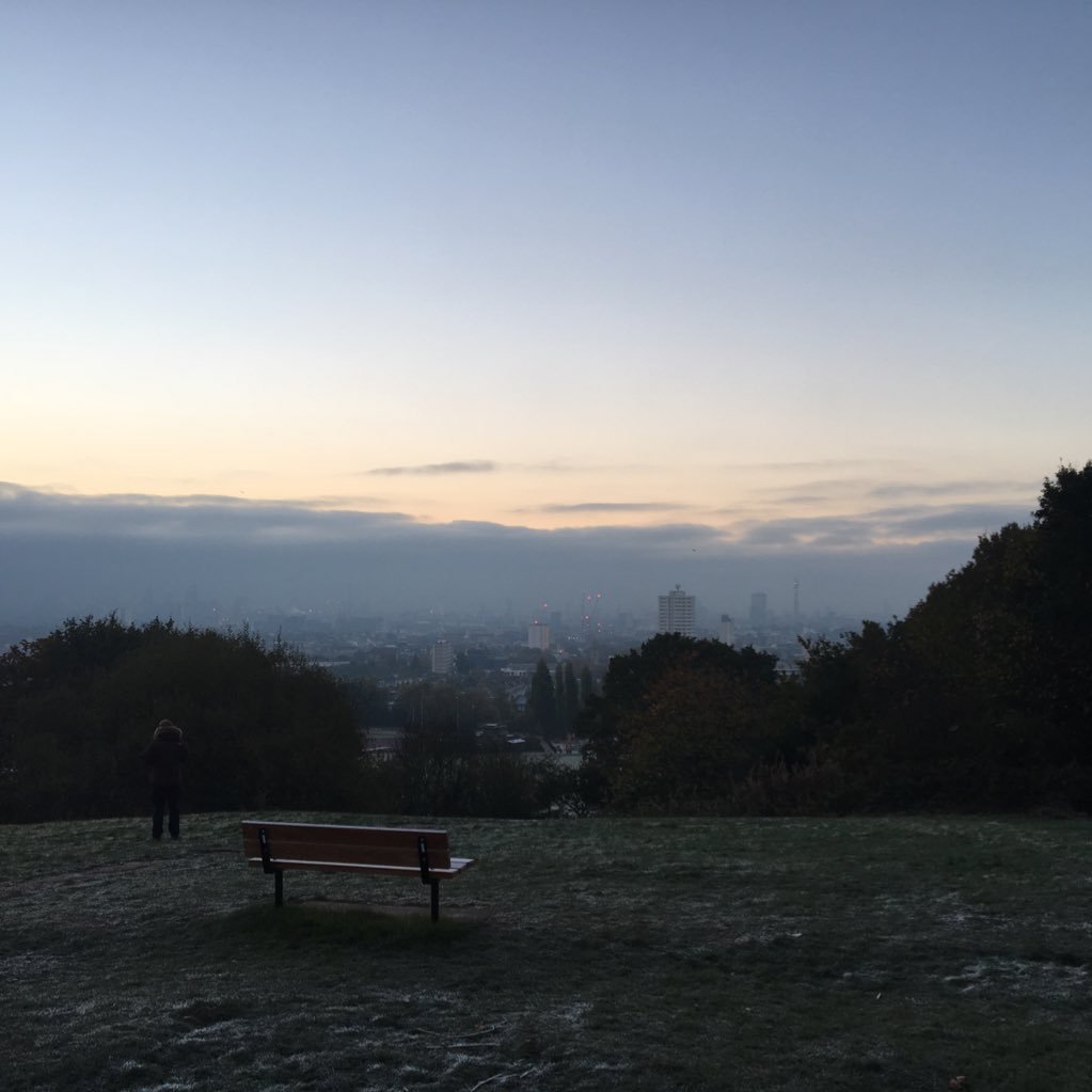 jadeflutes's profile picture. "If liberty means anything at all, it means the right to tell people what they do not want to hear."