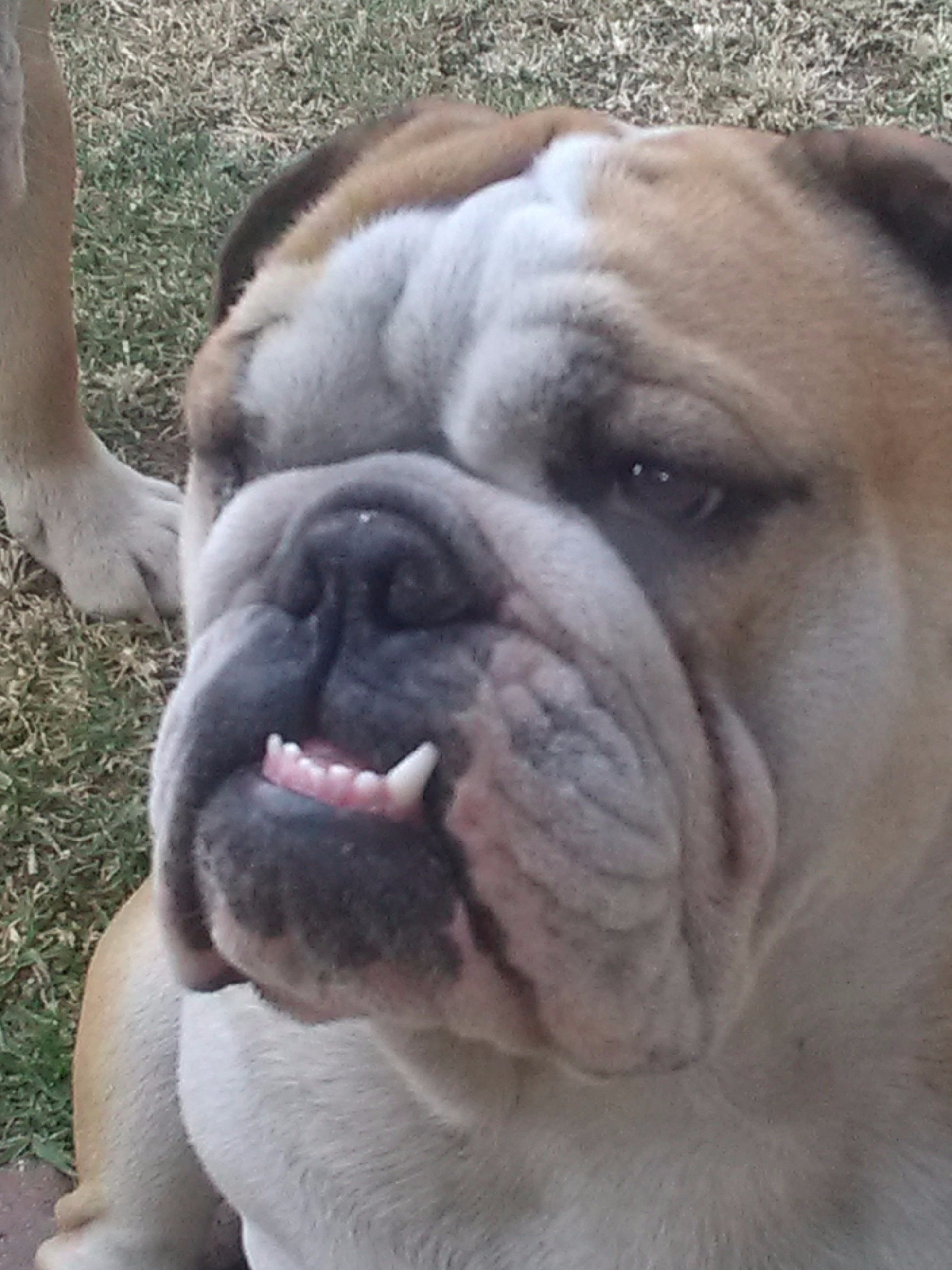 BlackGPP's profile picture. BlackGP