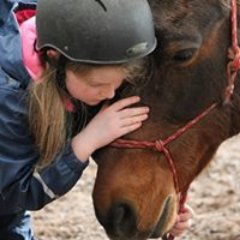 EquineLearningM's profile picture. Founder Elaine Ní Mhurchú MPhil & B.A Aim to  facilitate children and adults to become emotionally resilient and self- aware through Equine Assisted Learning
