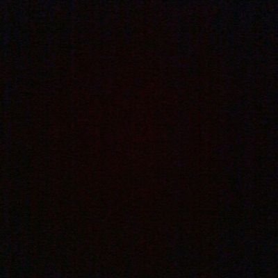 LetsBeHumans1st's profile picture. 