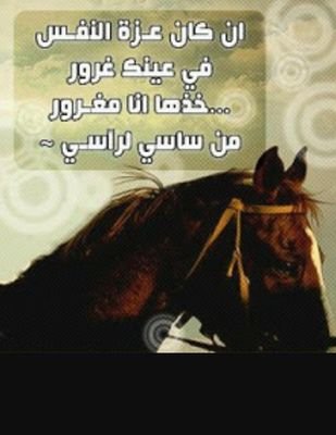 IFyEJhgLNXuHOJV's profile picture. من بني وائل رفيعين المقام$ربعي هل الوقفات والعلم الجزيل