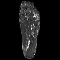 Themos (@themos) 's Twitter Profile