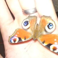 Lesley Morrison (@lesleym66579708) 's Twitter Profile Photo