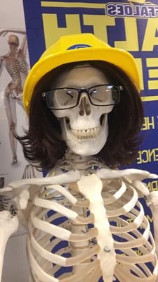 ClemensHOSA's profile picture. 