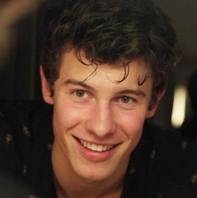 Portal Brasileiro de informações sobre o cantor e compositor Canadense Shawn Mendes!