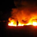 jane daly - @janertwf - Twitter