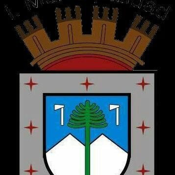 Municipalidad De Curacautín