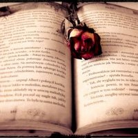 Temps De Lecture (@lecturetemps) 's Twitter Profile Photo Temps De Lecture (@lecturetemps) 's Twitter Profile Photo