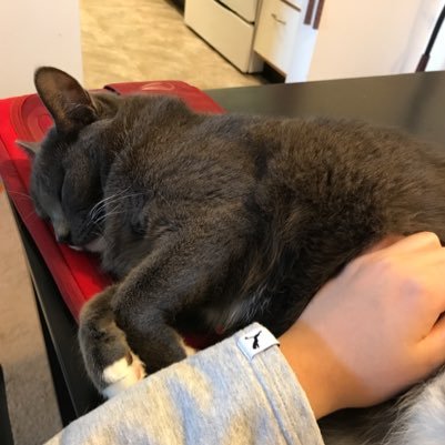 qingshan412's profile picture. The opinions stated here are my own, not those of my company.