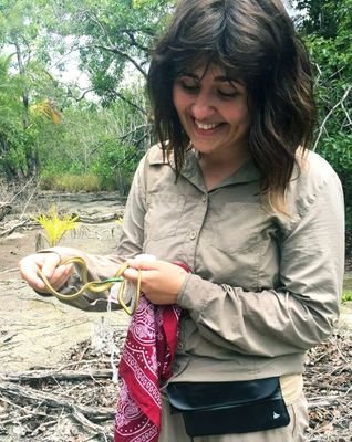 Lecturer in Ecology @USW_Biology @UniSouthWales 🌍 
Conservation, Ecology, Anoles, Remote Sensing, UAVs 🦎🌳