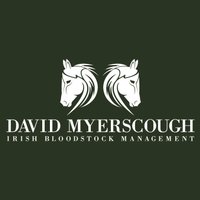 ColbinstownStud(@dpmyerscough) 's Twitter Profile Photo