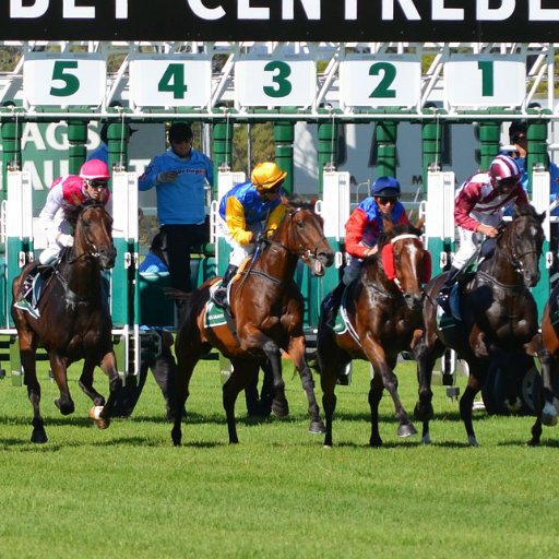 tipsters_uk's profile picture. 100% Free Daily Horse Racing Tips