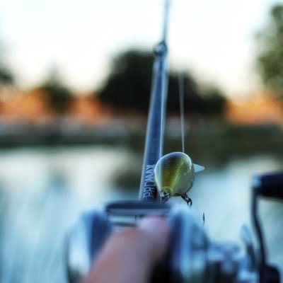 Just fishing and photography.  Check out the Youtubes & Instagram below!
https://t.co/11bRSPbB6V