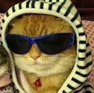 davizer4's profile picture. eai / insta: mdavii_