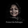 ProtectRohingya's profile picture. Raising awareness about the world's most persecuted minority