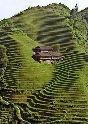 mohamed_med1234's profile picture. 