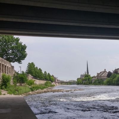 BirdWatchingON's profile picture. Pop punk band who, you guessed it, hates their hometown and eats too much pizza | Listen to our music because it's awesome, or whatever.