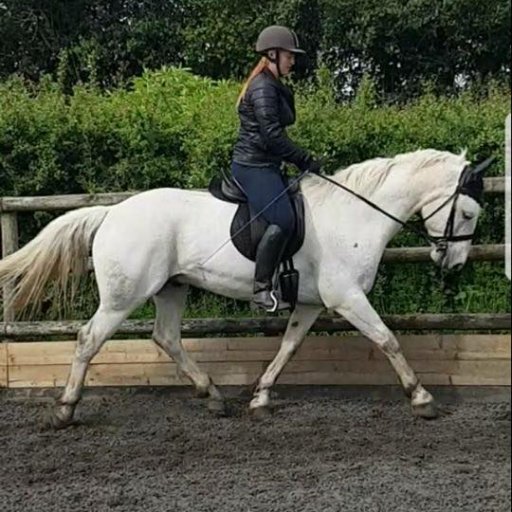 Redbrook Equestrian is a friendly professionally run Riding School, Pony Club Centre and livery yard  situated in Upper Redbrook near Monmouth in the Wye Valley