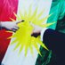 kurdi kurd☀️ (@kurdi1kurd) Twitter profile photo kurdi kurd☀️ (@kurdi1kurd) Twitter profile photo