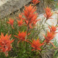 Bob Brown (@robertabrowninc) 's Twitter Profile Photo