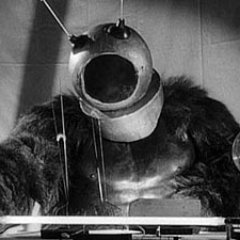 RobotM0nster's profile picture. 