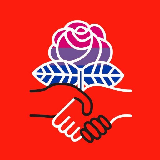 ☭ueer. Socialist. Archivist. 💜✊📚 he/him @dsacincy @demsocialists