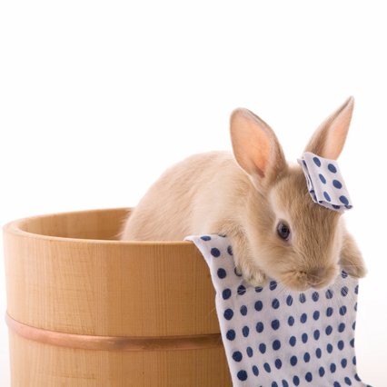 兼松ウェルネス Kwnmedinfo Twitter