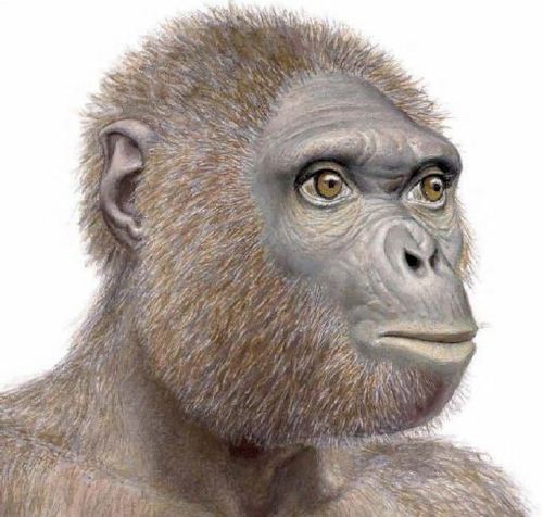 NoY_Luo's profile picture. Fake environmentalist