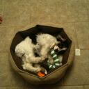 Patti.Swanson - @TFeymakesmeLiz - Twitter