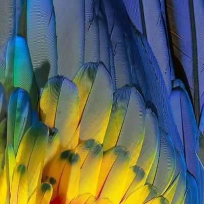 xcv02d's profile picture. 