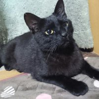 ぎむ(gim) (@01gimlet) 's Twitter Profile
