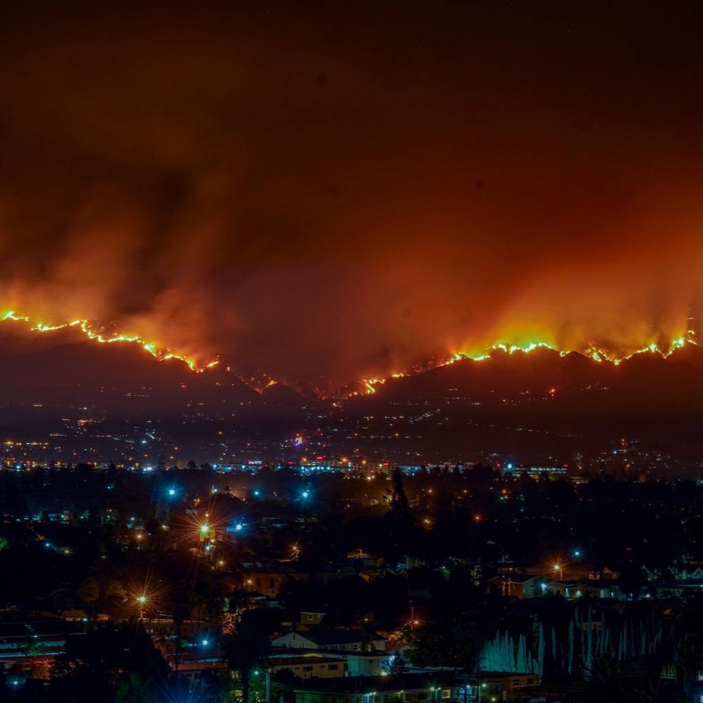 ovograbba's profile picture. 