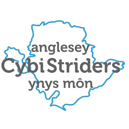 Cybi Striders