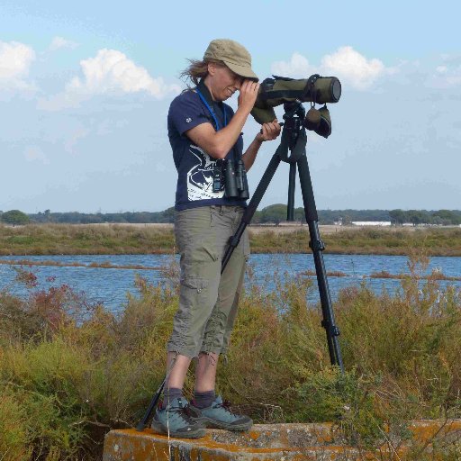 Assistant Professor at Faculty of Sciences, University Lisbon & CESAM; #ornithology #shorebirds #seabirds #steppebirds #migration #conservation @tidal_wings