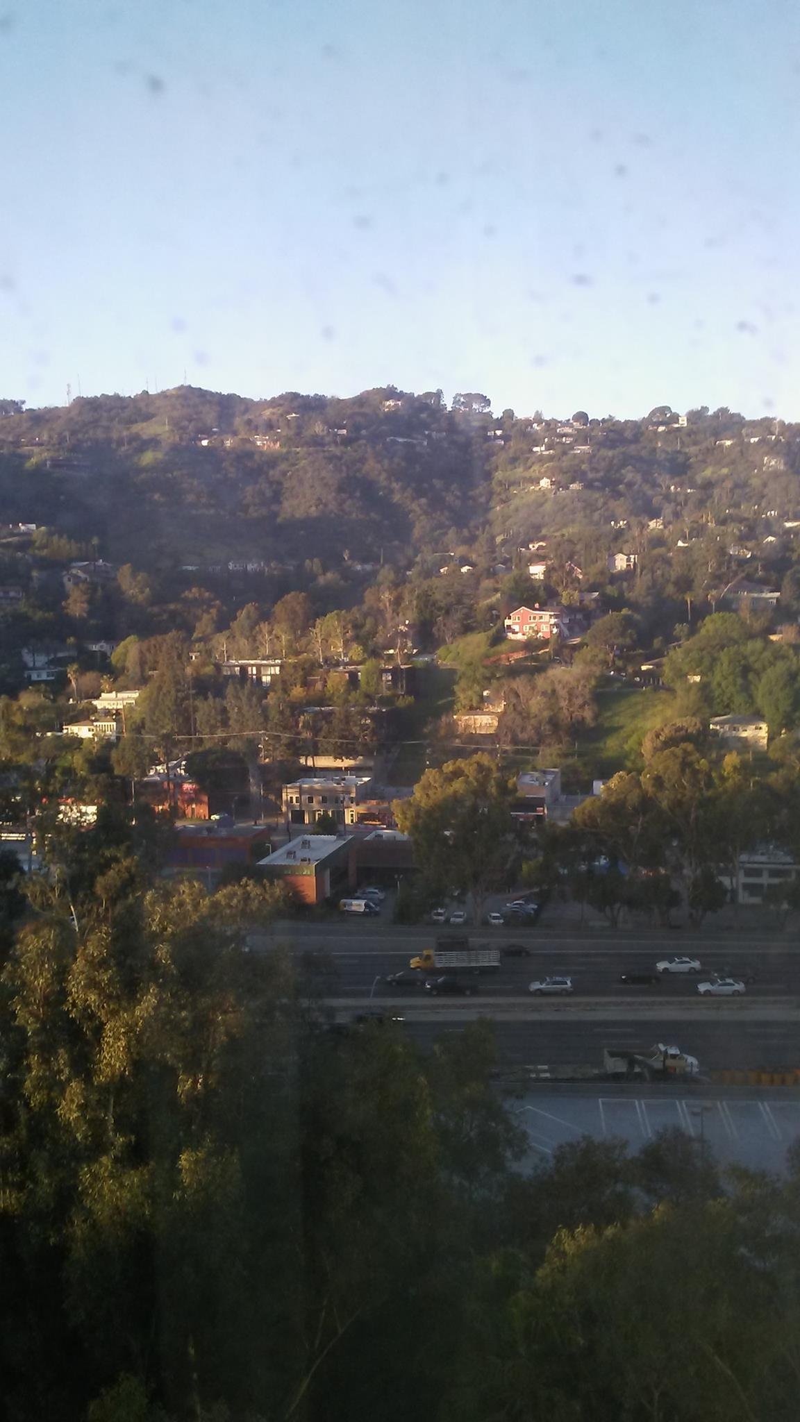 816yabish's profile picture. Introvert👌👌👌👌