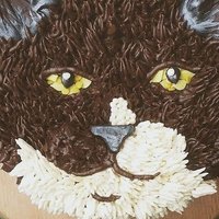 Melanie J Alexandrou (@cakesmelmakes) 's Twitter Profile