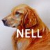 Monty's Dog Nell 🐾 (@montysdognell) Twitter profile photo Monty's Dog Nell 🐾 (@montysdognell) Twitter profile photo