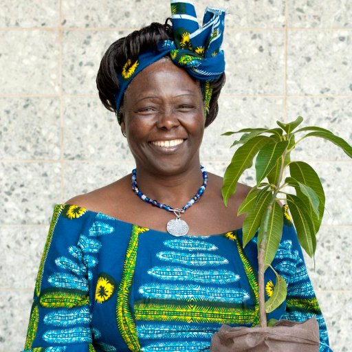 IWangarimaathai's profile picture. 