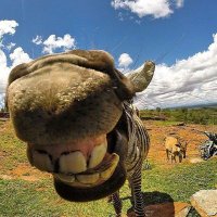 İNSAN (@kiymetc) 's Twitter Profile Photo İNSAN (@kiymetc) 's Twitter Profile Photo