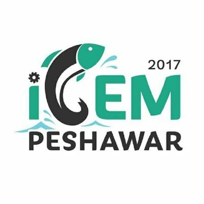 We are iGEM team Peshawar. Follow us to keep you updated about what we are upto.