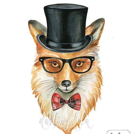 VolpeNV's profile picture. 