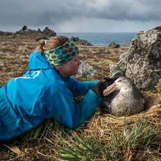 Research on the foraging ecology of seabirds. 
Coastal Seabird Project Manager @BirdLife_SA