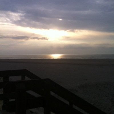 GameVir1881's profile picture. 