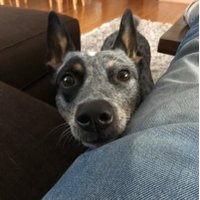 Bradley D Elliott (@bradleydelliott) 's Twitter Profile Photo Bradley D Elliott (@bradleydelliott) 's Twitter Profile Photo