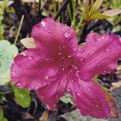 clairejael's profile picture. Tienes lo que creas!