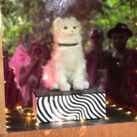 Kirstie Lount (@lountkirstie) 's Twitter Profile