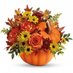 Grace Flowers (@grace_flowers12) Twitter profile photo Grace Flowers (@grace_flowers12) Twitter profile photo