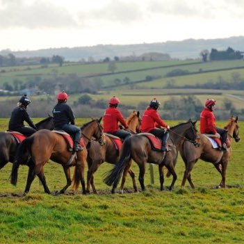 West Berkshire Racing Club - for horse racing fans who want to get out and discover more about racing.